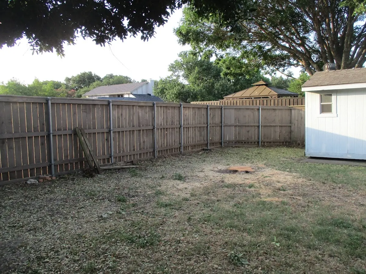 Cleared yard after professional tree removal in Saint Regis